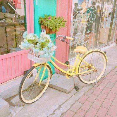 赢三张免费游戏